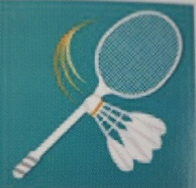 Logo Badminton